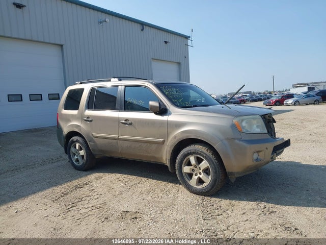 12646095 :رقم المزاد ، 5FNYF3H70BB023531 vin ، 2011 Honda Pilot Ex-l مزاد بيع