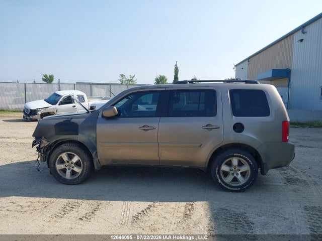 12646095 :رقم المزاد ، 5FNYF3H70BB023531 vin ، 2011 Honda Pilot Ex-l مزاد بيع