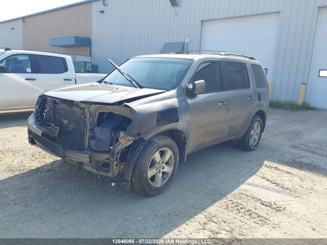 12646095 :رقم المزاد ، 5FNYF3H70BB023531 vin ، 2011 Honda Pilot Ex-l مزاد بيع