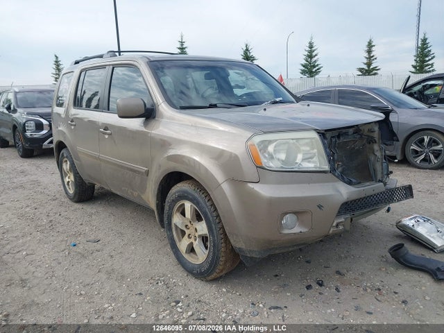 12646095 :رقم المزاد ، 5FNYF3H70BB023531 vin ، 2011 Honda Pilot Ex-l مزاد بيع
