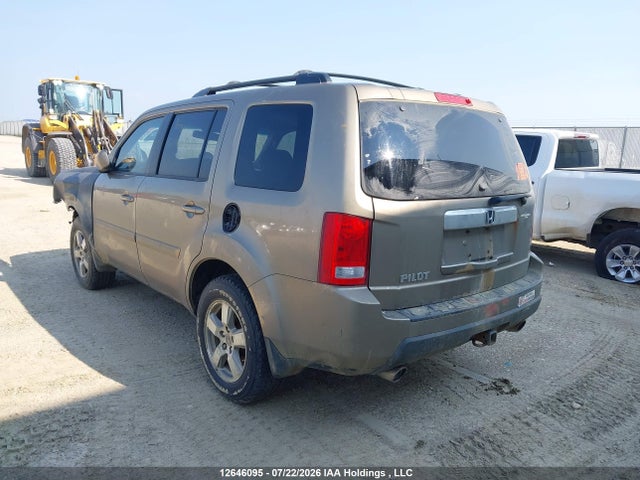 12646095 :رقم المزاد ، 5FNYF3H70BB023531 vin ، 2011 Honda Pilot Ex-l مزاد بيع