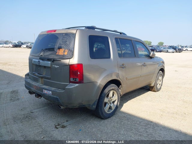 12646095 :رقم المزاد ، 5FNYF3H70BB023531 vin ، 2011 Honda Pilot Ex-l مزاد بيع