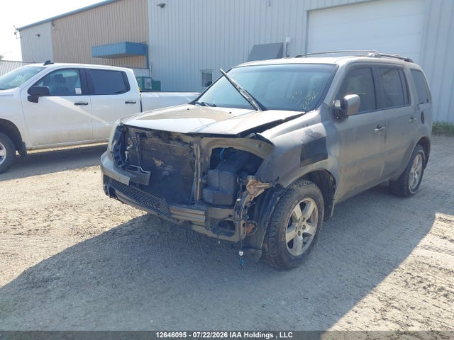 12646095 :رقم المزاد ، 5FNYF3H70BB023531 vin ، 2011 Honda Pilot Ex-l مزاد بيع