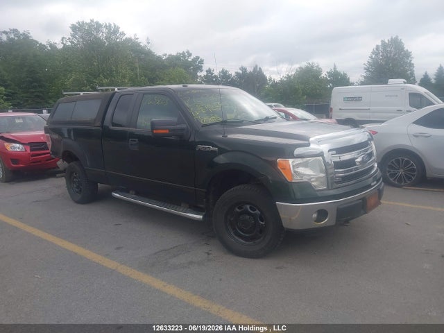 2013 Ford F-150 Xlt მანქანა იყიდება აუქციონზე, vin: 1FTEX1EM5DFB70330, აუქციონის ნომერი: 12633223