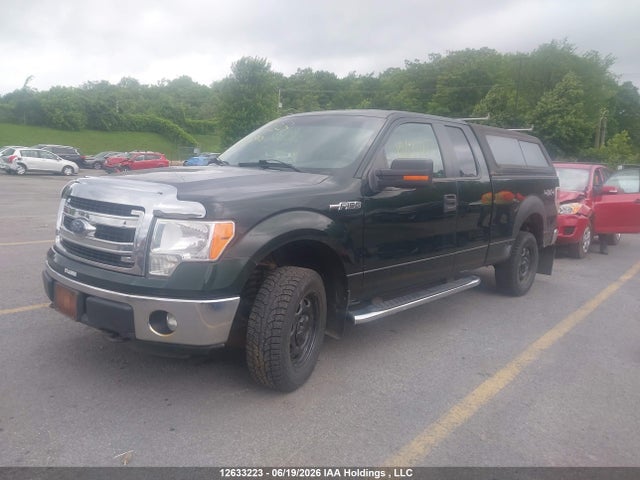 2013 Ford F-150 Xlt მანქანა იყიდება აუქციონზე, vin: 1FTEX1EM5DFB70330, აუქციონის ნომერი: 12633223