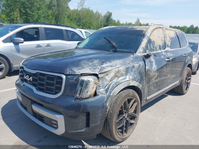 2024 Kia Telluride Sx/sx Limited/x-line/x-pro მანქანა იყიდება აუქციონზე, vin: 5XYP5DGC4RG417491, აუქციონის ნომერი: 12646270
