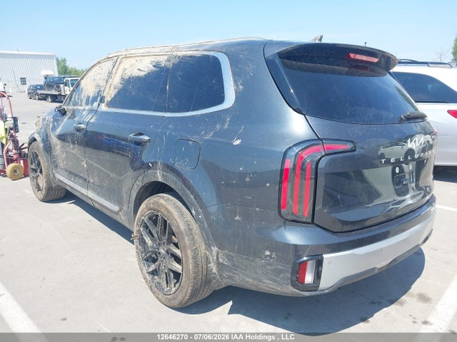 2024 Kia Telluride Sx/sx Limited/x-line/x-pro მანქანა იყიდება აუქციონზე, vin: 5XYP5DGC4RG417491, აუქციონის ნომერი: 12646270