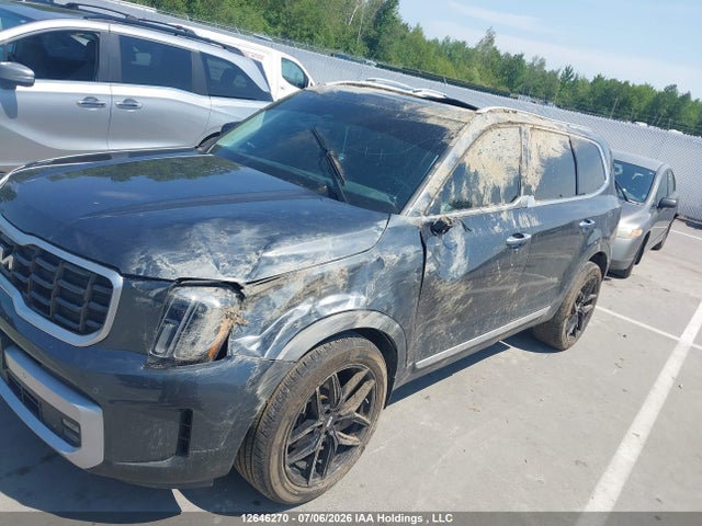 2024 Kia Telluride Sx/sx Limited/x-line/x-pro მანქანა იყიდება აუქციონზე, vin: 5XYP5DGC4RG417491, აუქციონის ნომერი: 12646270