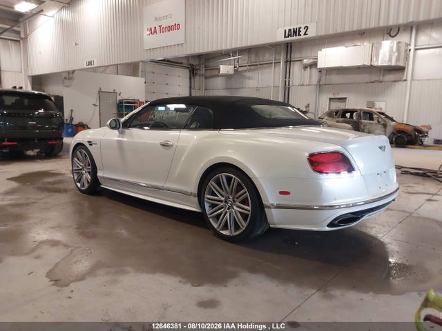 12646381 :رقم المزاد ، SCBGJ3ZAXGC055351 vin ، 2016 Bentley Continental Gtc Gtc مزاد بيع