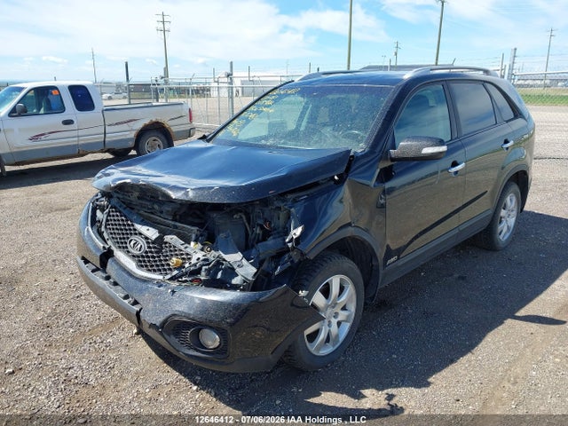 2011 Kia Sorento Lx V6 მანქანა იყიდება აუქციონზე, vin: 5XYKTDA27BG018922, აუქციონის ნომერი: 12646412