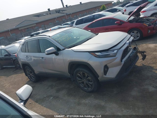 2T3RWRFV5PW175427 Toyota Rav4 Xle/woodland Edition