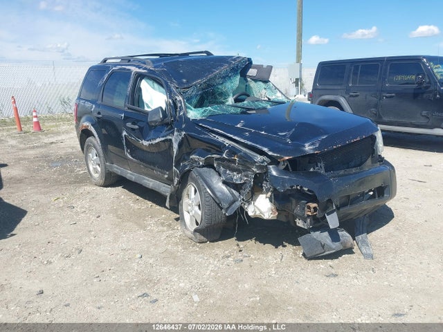 12646437 :رقم المزاد ، 1FMCU9D73AKC39783 vin ، 2010 Ford Escape Xlt Automatic مزاد بيع