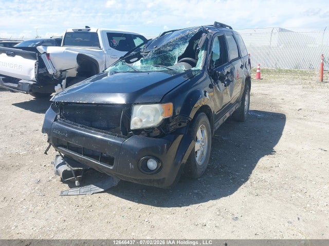 Продаж на аукціоні авто 2010 Ford Escape Xlt Automatic, vin: 1FMCU9D73AKC39783, номер лоту: 12646437