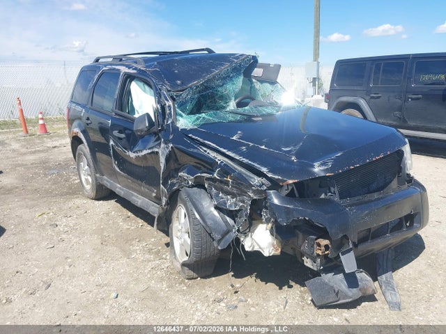 Продаж на аукціоні авто 2010 Ford Escape Xlt Automatic, vin: 1FMCU9D73AKC39783, номер лоту: 12646437
