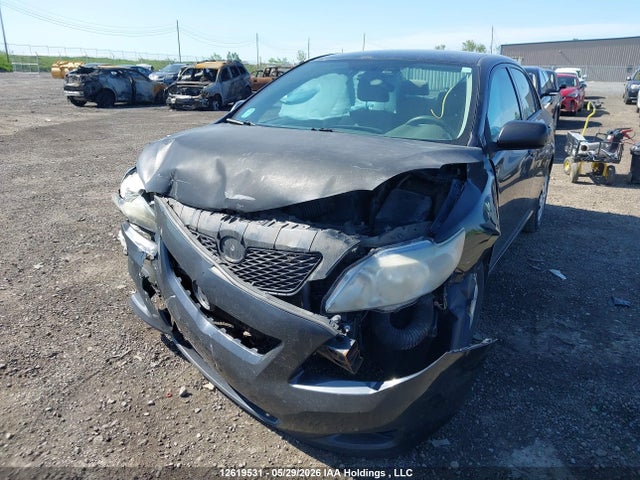 2010 Toyota Corolla Ce მანქანა იყიდება აუქციონზე, vin: 2T1BU4EE8AC205775, აუქციონის ნომერი: 12619531