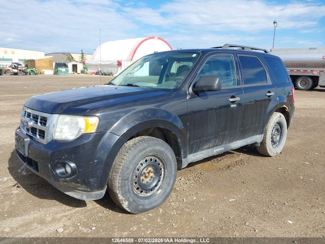 Продажа на аукционе авто 2011 Ford Escape Xlt, vin: 1FMCU9DG0BKB31462, номер лота: 12646589
