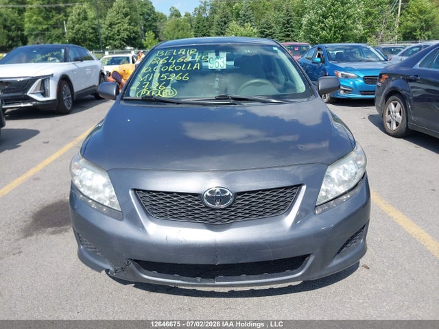 12646675 :رقم المزاد ، 2T1BU4EE1AC195266 vin ، 2010 Toyota Corolla مزاد بيع