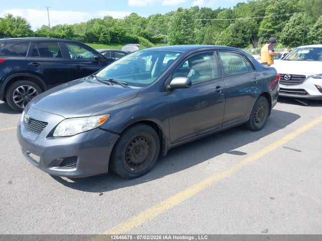 12646675 :رقم المزاد ، 2T1BU4EE1AC195266 vin ، 2010 Toyota Corolla مزاد بيع