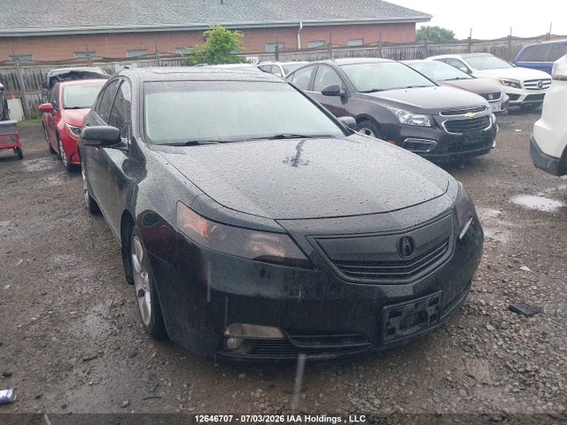 2012 Acura Tl მანქანა იყიდება აუქციონზე, vin: 19UUA8F29CA800379, აუქციონის ნომერი: 12646707