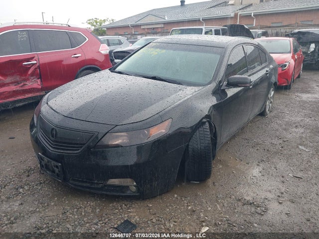 2012 Acura Tl მანქანა იყიდება აუქციონზე, vin: 19UUA8F29CA800379, აუქციონის ნომერი: 12646707