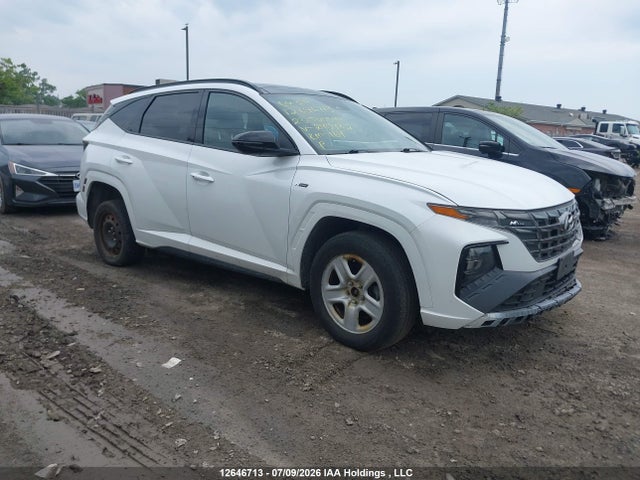 Продаж на аукціоні авто 2023 Hyundai Tucson N Line Awd, vin: KM8JCCAE6PU240482, номер лоту: 12646713