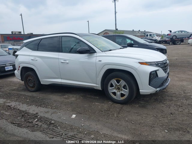 12646713 :رقم المزاد ، KM8JCCAE6PU240482 vin ، 2023 Hyundai Tucson N Line Awd مزاد بيع
