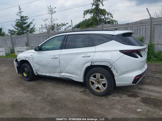 12646713 :رقم المزاد ، KM8JCCAE6PU240482 vin ، 2023 Hyundai Tucson N Line Awd مزاد بيع