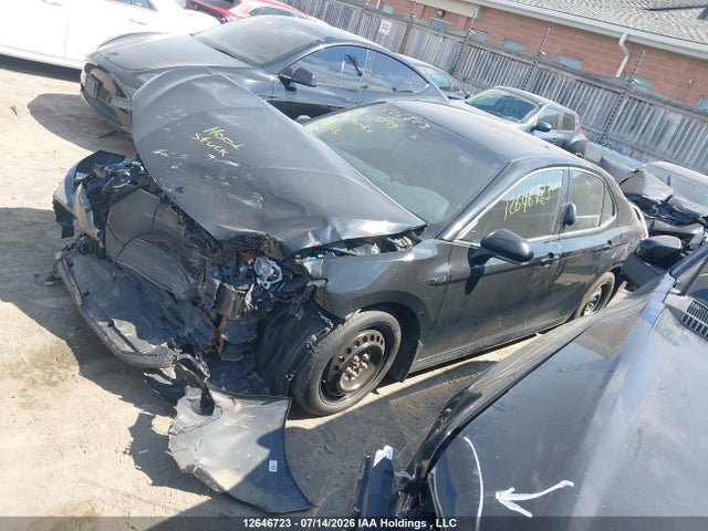 2019 Toyota Camry Hybrid Le მანქანა იყიდება აუქციონზე, vin: 4T1B31HK0KU515129, აუქციონის ნომერი: 12646723
