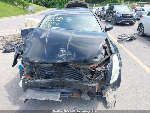 2004 Nissan Maxima მანქანა იყიდება აუქციონზე, vin: 1N4BA41E74C886223, აუქციონის ნომერი: 12646724