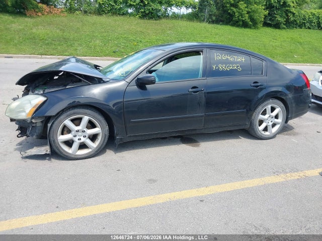 2004 Nissan Maxima მანქანა იყიდება აუქციონზე, vin: 1N4BA41E74C886223, აუქციონის ნომერი: 12646724