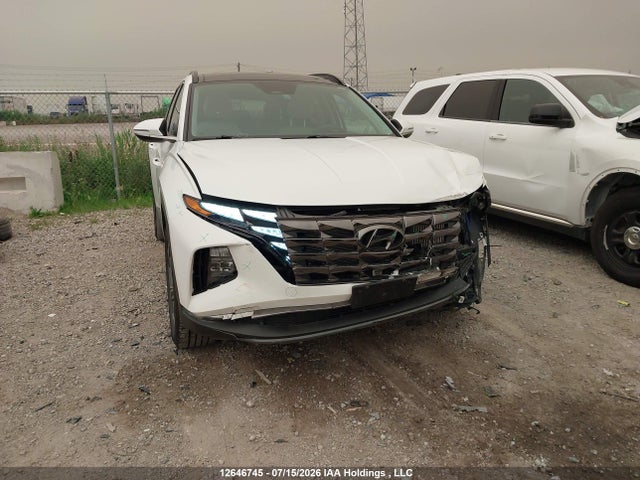 Продажа на аукционе авто 2024 Hyundai Tucson Luxury Awd, vin: KM8JCCD12RU202453, номер лота: 12646745