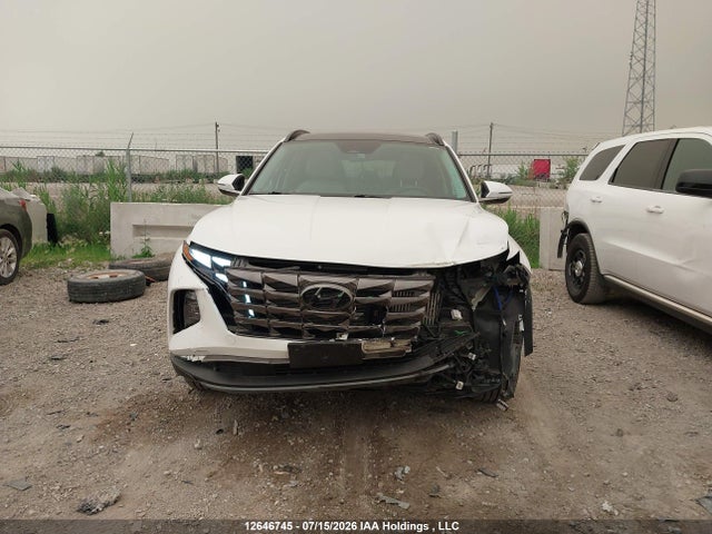 2024 Hyundai Tucson Luxury Awd მანქანა იყიდება აუქციონზე, vin: KM8JCCD12RU202453, აუქციონის ნომერი: 12646745