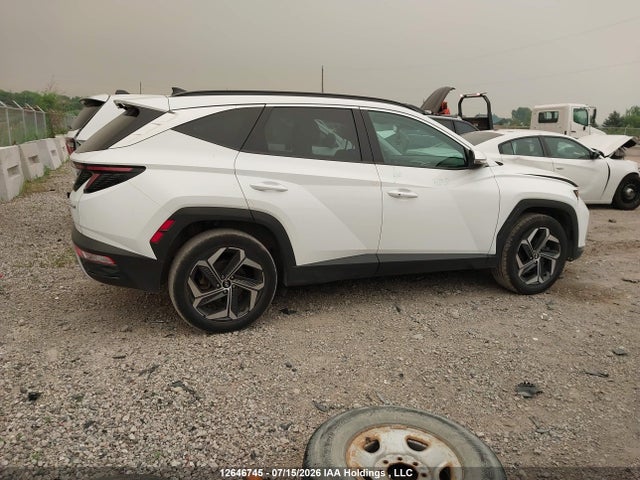 2024 Hyundai Tucson Luxury Awd მანქანა იყიდება აუქციონზე, vin: KM8JCCD12RU202453, აუქციონის ნომერი: 12646745