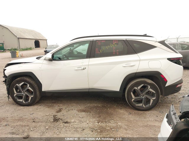 2024 Hyundai Tucson Luxury Awd მანქანა იყიდება აუქციონზე, vin: KM8JCCD12RU202453, აუქციონის ნომერი: 12646745
