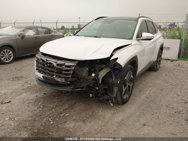 2024 Hyundai Tucson Luxury Awd მანქანა იყიდება აუქციონზე, vin: KM8JCCD12RU202453, აუქციონის ნომერი: 12646745