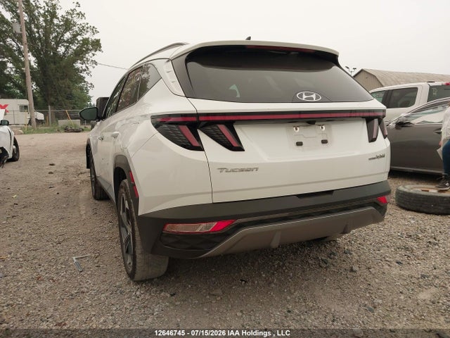 2024 Hyundai Tucson Luxury Awd მანქანა იყიდება აუქციონზე, vin: KM8JCCD12RU202453, აუქციონის ნომერი: 12646745