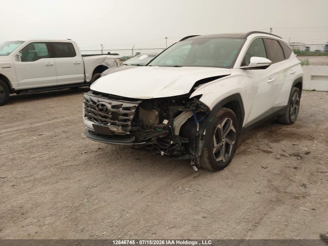 2024 Hyundai Tucson Luxury Awd მანქანა იყიდება აუქციონზე, vin: KM8JCCD12RU202453, აუქციონის ნომერი: 12646745