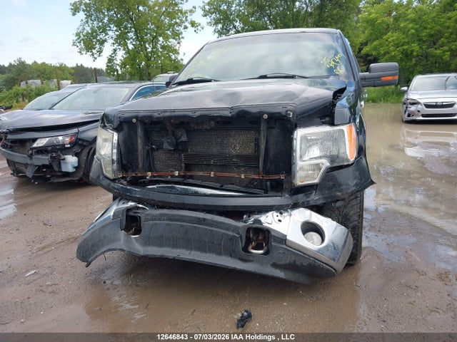 12646843 :رقم المزاد ، 1FTFW1EF1BFC67255 vin ، 2011 Ford F-150 Xlt مزاد بيع