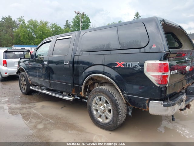 12646843 :رقم المزاد ، 1FTFW1EF1BFC67255 vin ، 2011 Ford F-150 Xlt مزاد بيع
