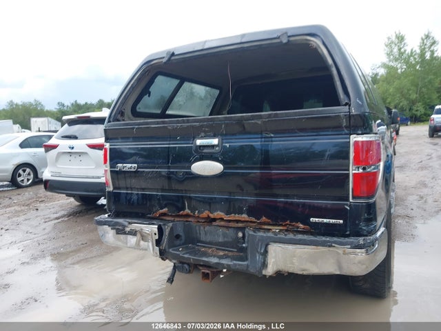 12646843 :رقم المزاد ، 1FTFW1EF1BFC67255 vin ، 2011 Ford F-150 Xlt مزاد بيع