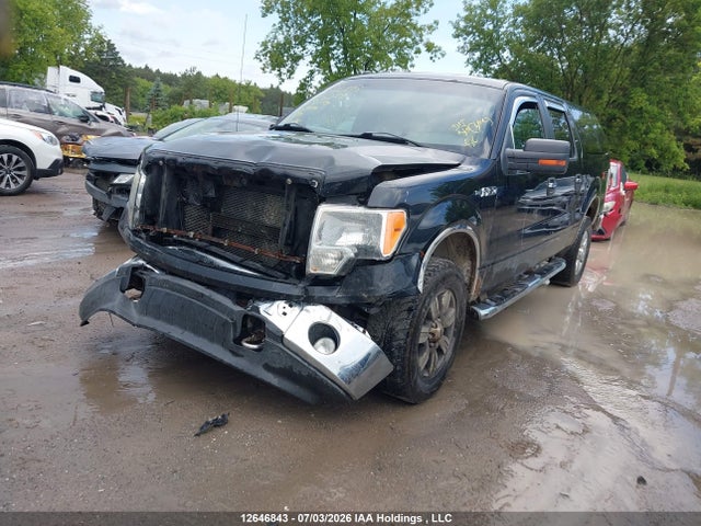 12646843 :رقم المزاد ، 1FTFW1EF1BFC67255 vin ، 2011 Ford F-150 Xlt مزاد بيع
