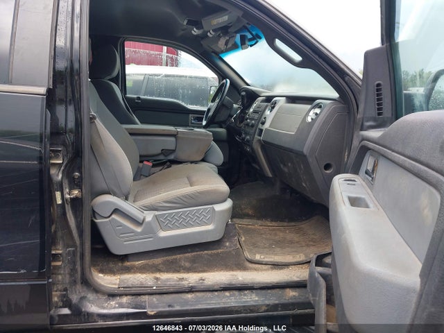 12646843 :رقم المزاد ، 1FTFW1EF1BFC67255 vin ، 2011 Ford F-150 Xlt مزاد بيع