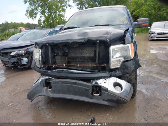 12646843 :رقم المزاد ، 1FTFW1EF1BFC67255 vin ، 2011 Ford F-150 Xlt مزاد بيع