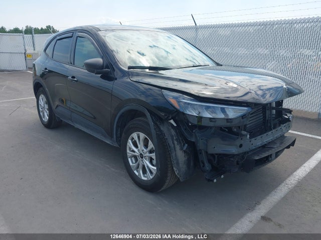 Auction sale of the 2025 Ford Escape Active, vin: 1FMCU9GN4SUB54466, lot number: 12646904