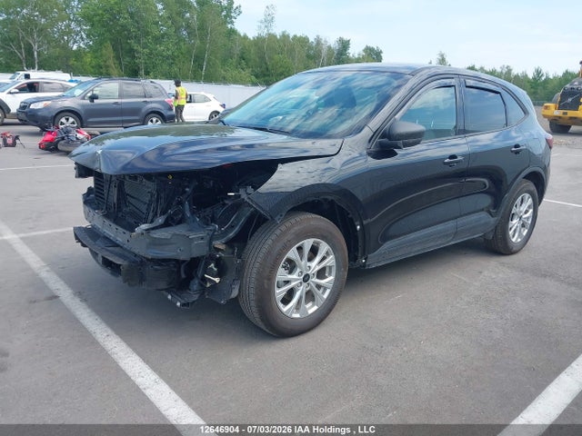 12646904 :رقم المزاد ، 1FMCU9GN4SUB54466 vin ، 2025 Ford Escape Active مزاد بيع