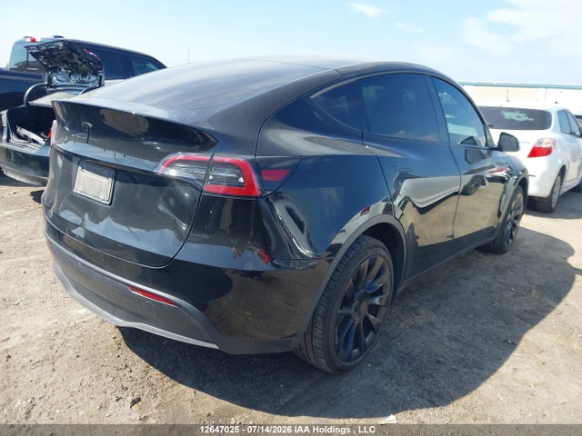Продаж на аукціоні авто 2023 Tesla Model Y, vin: 7SAYGDEE5PF775256, номер лоту: 12647025
