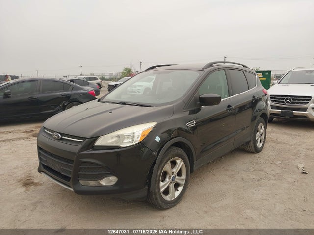 Продаж на аукціоні авто 2013 Ford Escape Se, vin: 1FMCU9G9XDUA19398, номер лоту: 12647031