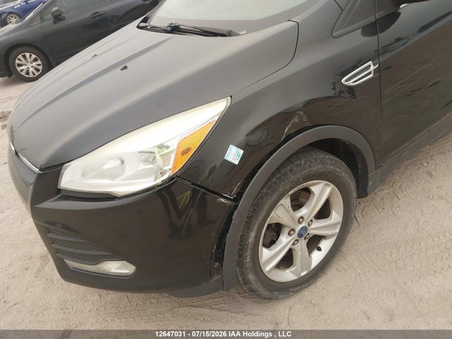 Продаж на аукціоні авто 2013 Ford Escape Se, vin: 1FMCU9G9XDUA19398, номер лоту: 12647031