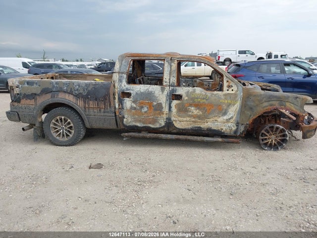 12647113 :رقم المزاد ، 1FTFW1ET6EFB52502 vin ، 2014 Ford F-150 Fx4/king Ranch/lariat/limited/platinum/xlt مزاد بيع