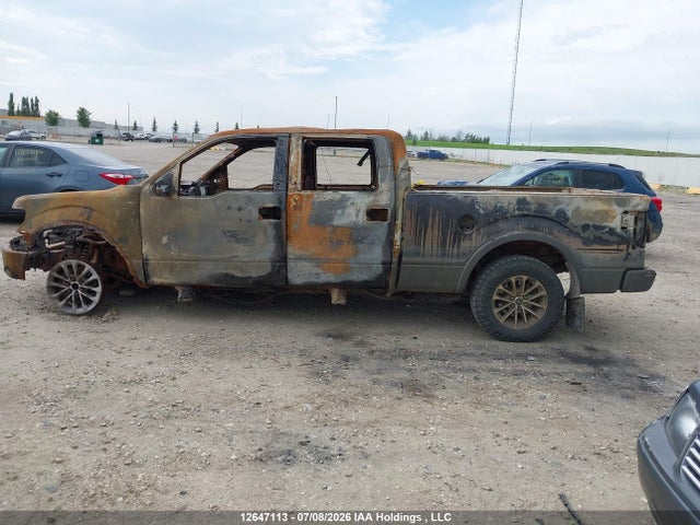 12647113 :رقم المزاد ، 1FTFW1ET6EFB52502 vin ، 2014 Ford F-150 Fx4/king Ranch/lariat/limited/platinum/xlt مزاد بيع